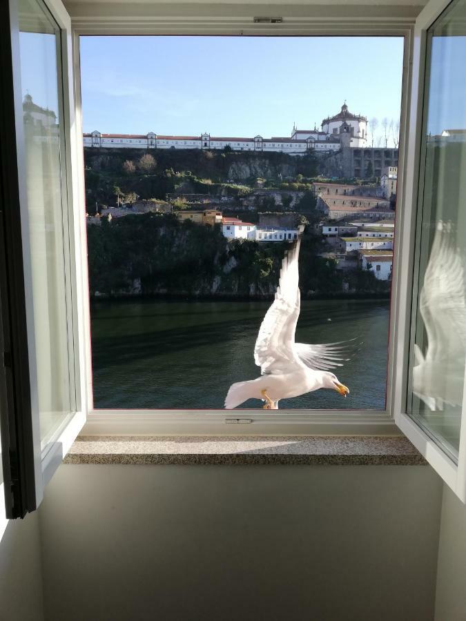Apartamento de 2 Quartos com Vista do Rio