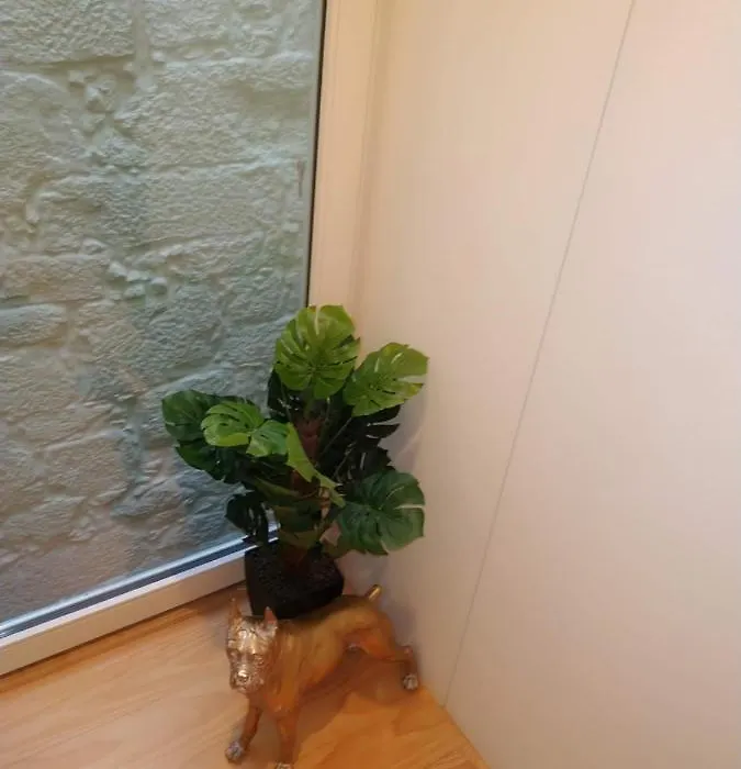 Ml Apartments Almada Living-1