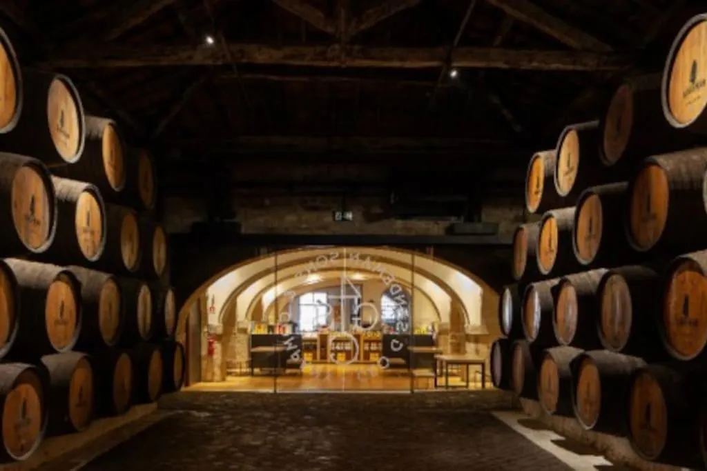 Loft In The Historic Center Of Oporto Downtown-1