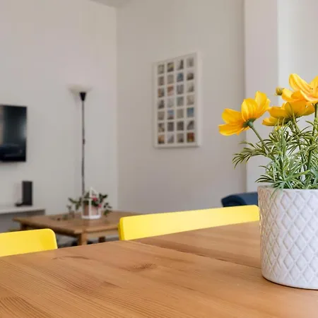 Travel & Live Bolhao Apartments-3