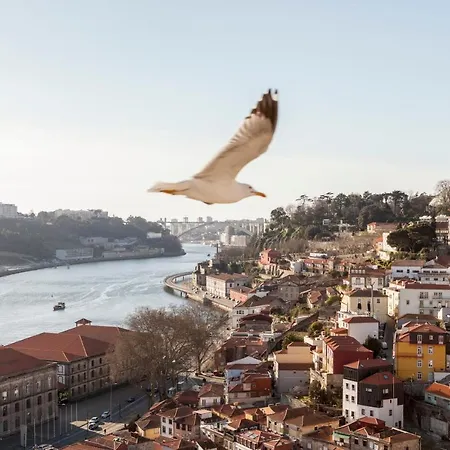 Citybreak-Apartments Douro View-2
