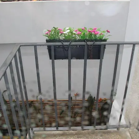 Flower 45 Suite @ Rua Das Flores-2