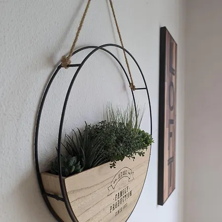 Pine Tree Apartment-2