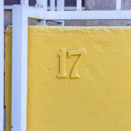 Trindade Trendy Studio 17-3