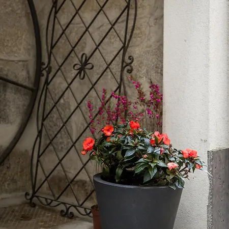 Bombarda Apartments By Porto Dream Stays-3