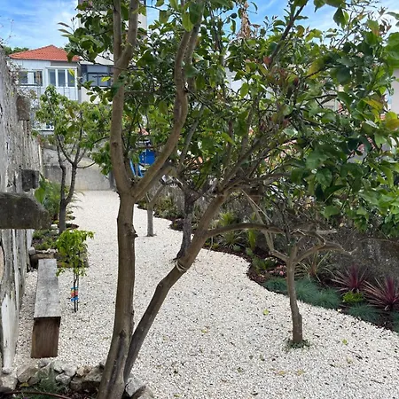 Bright Apartment With Garden-2