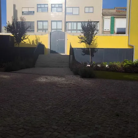 24 Novíssímo Estudio Porto Cedofeita AC Olive-2