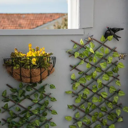 Apartamento À Francos Balcony-2