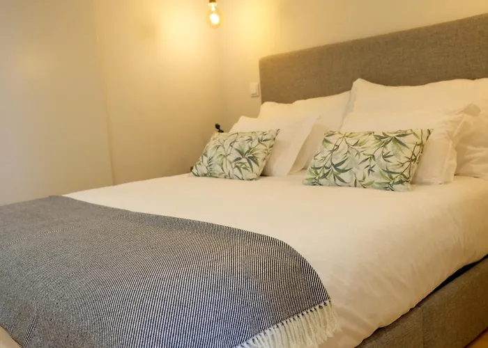 Adega Floresta Residence OOporto