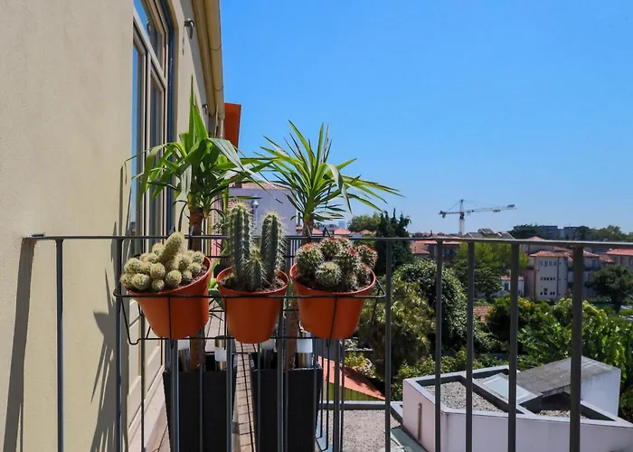 Apartamento Cedofeita Charming Flat OOporto