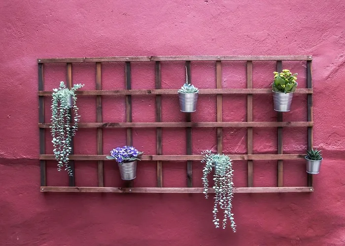 São Lázaro's Garden - Apartment With Terrace OOporto
