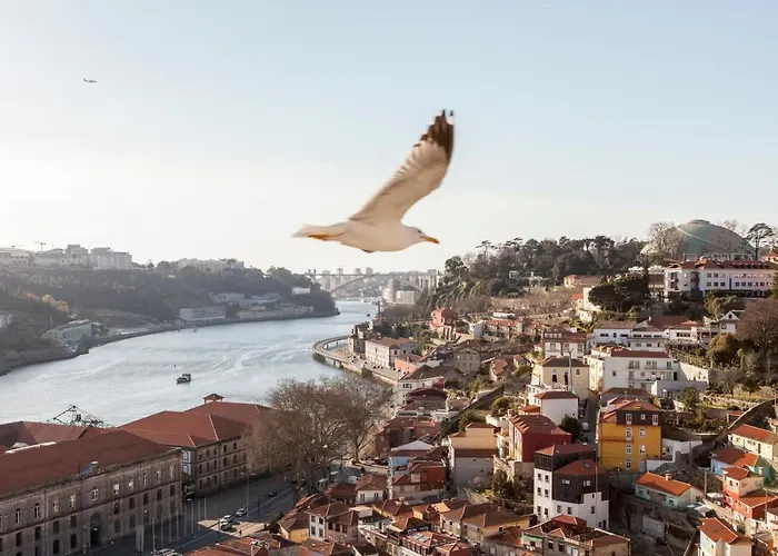 Citybreak-Apartments Douro View OOporto