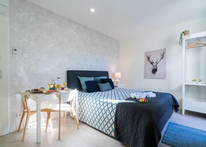Host Wise - Central Private Flats - Terrace OOporto