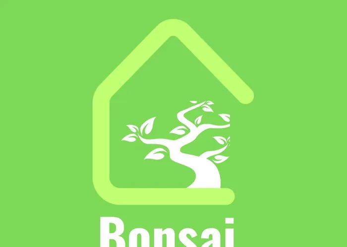 Bonsai Apartment II OOporto