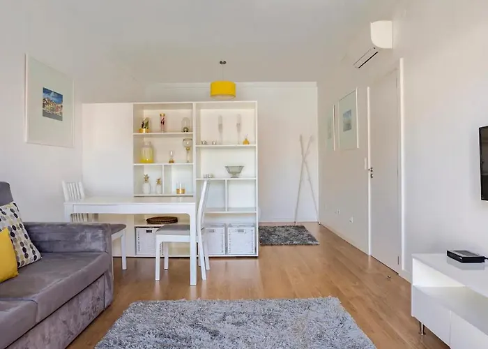 Luxury Anibal Cunha Apartments OOporto