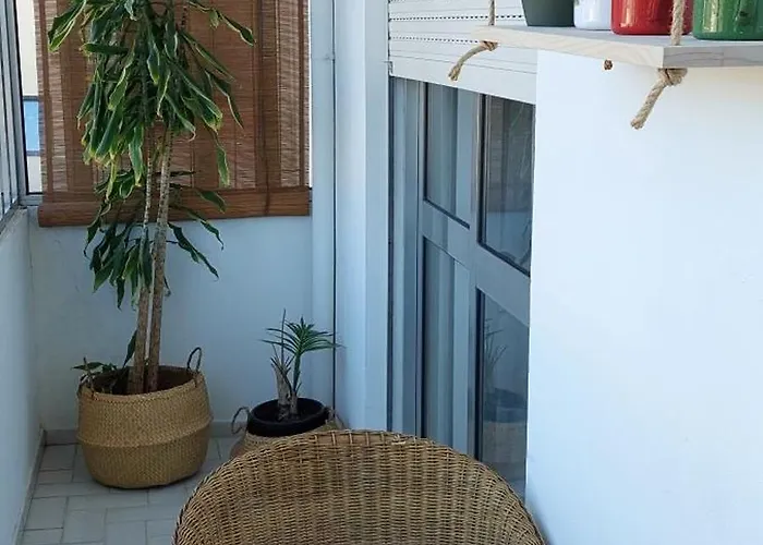 Cedofeita 408, Green OOporto