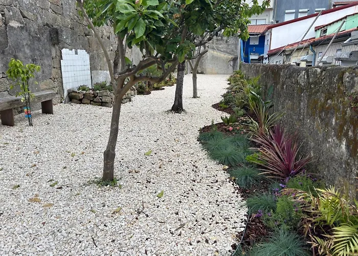 Bright Apartment With Garden OOporto