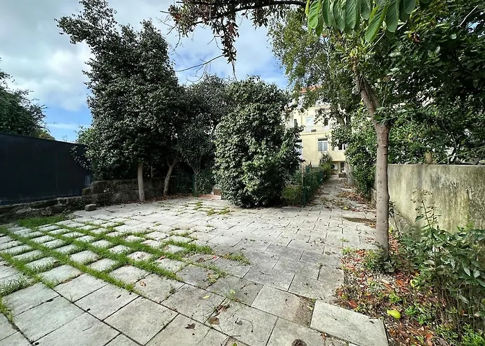 Apartamento Torrinha Backyard New OOporto