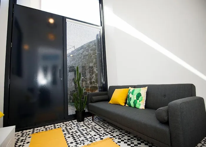 Get A Cactus And Books Studio OOporto