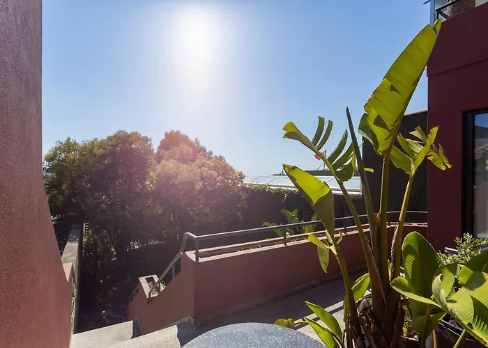 Liiiving In Porto - Casa Duque Apartments