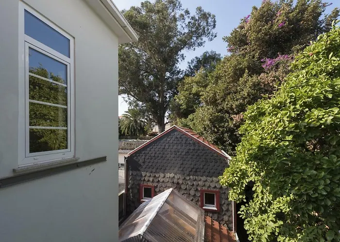Tripas-Coracao, Breiner Greenhouse OOporto