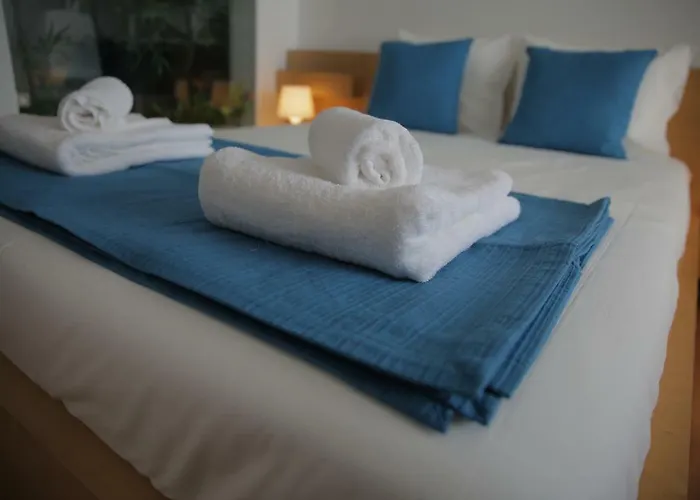 Apartamento Braancamp 65 OOporto