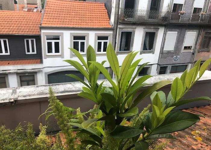 Alojamento Requinte OOporto